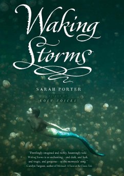 Cover Waking Storms (eBook, ePUB)