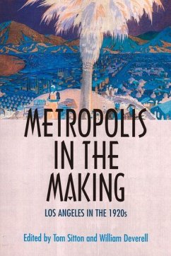 Metropolis in the Making (eBook, ePUB)