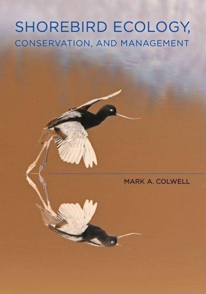 Shorebird Ecology, Conservation, and Management (eBook, ePUB) Shorebird Ecology, Conservation, and Management (eBook, ePUB)