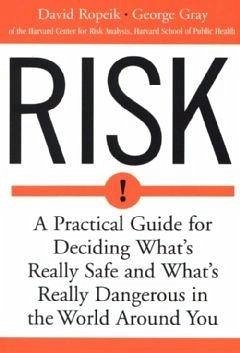 Risk (eBook, ePUB)