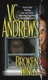 Broken Wings (eBook, ePUB)