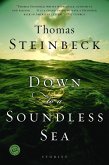 Down to a Soundless Sea (eBook, ePUB)