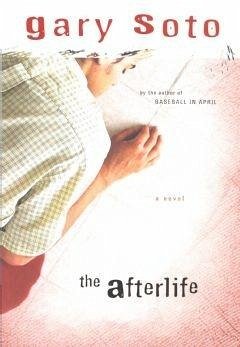 Afterlife (eBook, ePUB) - Soto, Gary
