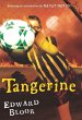 Tangerine (eBook, ePUB) - Bild 1