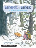 Mouse and Mole: A Winter Wonderland (eBook, ePUB)