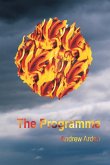 The Programme (eBook, ePUB)