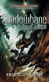 Shadowbane: Eye of Justice (eBook, ePUB)