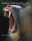 Mammal Teeth (eBook, ePUB)