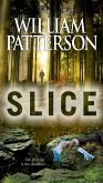Slice (eBook, ePUB)