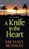 A Knife in the Heart (eBook, ePUB)