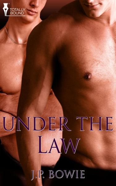 Under the Law (eBook, ePUB)
