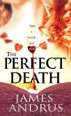 The Perfect Death (eBook, ePUB)
