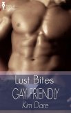 Gay Friendly (eBook, ePUB)