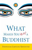 What Makes You Not a Buddhist (eBook, ePUB) What Makes You Not a Buddhist (eBook, ePUB)