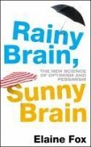 Rainy Brain, Sunny Brain (eBook, ePUB)