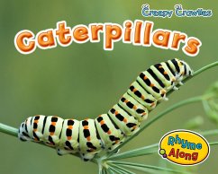 Cover Caterpillars (eBook, PDF)