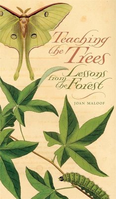 Cover Teaching the Trees (eBook, ePUB)