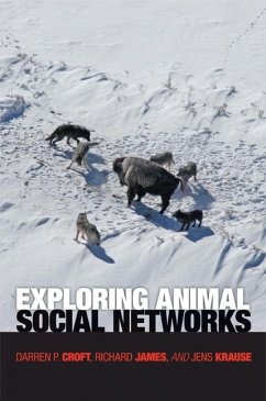 Exploring Animal Social Networks (eBook, PDF) - Croft, Darren P.