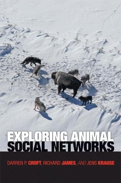 Exploring Animal Social Networks (eBook, PDF)