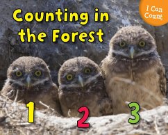 Counting in the Forest (eBook, PDF) - Rissman, Rebecca