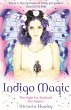 Indigo Magic (eBook, ePUB) - Bild 1