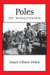 Poles in Wisconsin (eBook, ePUB) - Bild 1
