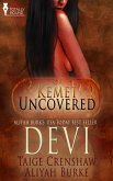 Devi (eBook, ePUB)