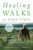 Healing Walks for Hard Times (eBook, ePUB)