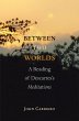 Between Two Worlds (eBook, ePUB) - Bild 1
