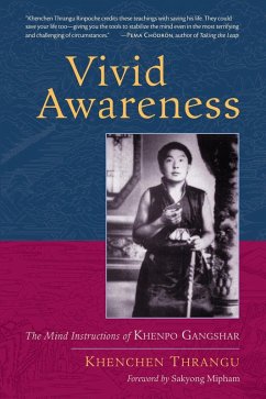 Vivid Awareness (eBook, ePUB) Cover Vivid Awareness (eBook, ePUB)