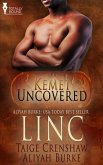 Linc (eBook, ePUB)