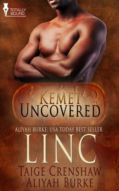 Cover Linc (eBook, ePUB)