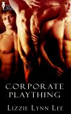 Corporate Plaything (eBook, ePUB)