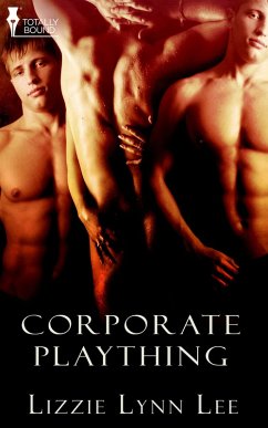 Cover Corporate Plaything (eBook, ePUB)