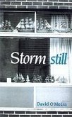 Storm Still (eBook, PDF) Storm Still (eBook, PDF)