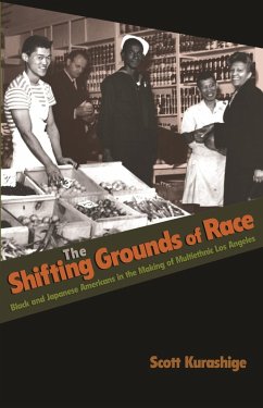 Cover Shifting Grounds of Race (eBook, PDF)