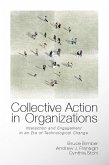 Collective Action in Organizations (eBook, ePUB)