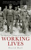 Working Lives (eBook, ePUB)