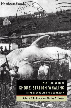 Cover Twentieth-Century Shore-Station Whaling in Newfoundland and Labrador (eBook, PDF)