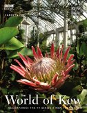 The World of Kew (eBook, ePUB)