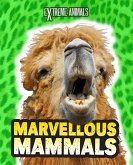 Marvellous Mammals (eBook, PDF)