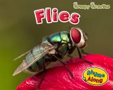 Flies (eBook, PDF)