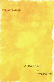 Dream of Sulphur (eBook, PDF)