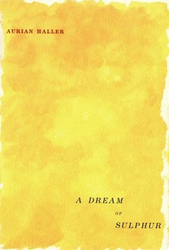 Cover Dream of Sulphur (eBook, PDF)