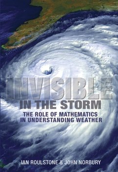 Cover Invisible in the Storm (eBook, ePUB)