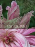 Spirit Seizures (eBook, ePUB)