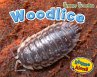 Woodlice (eBook, PDF) - Bild 1