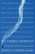 No Visible Horizon (eBook, ePUB) - Bild 1