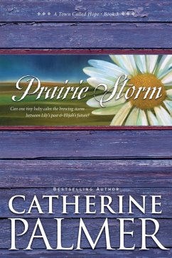 Cover Prairie Storm (eBook, ePUB)