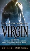 Virgin (eBook, ePUB)